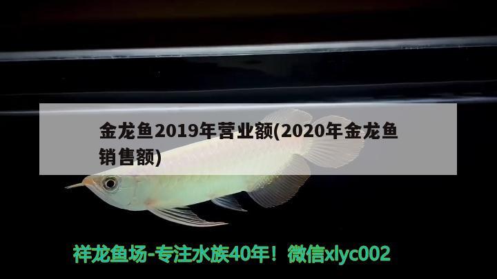 金龍魚2019年?duì)I業(yè)額(2020年金龍魚銷售額)