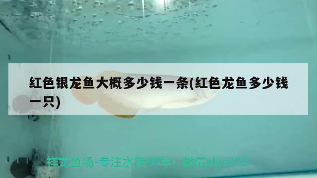 店鋪魚缸的擺放位置在哪里比較好，八年以上的舊魚缸怎么處理