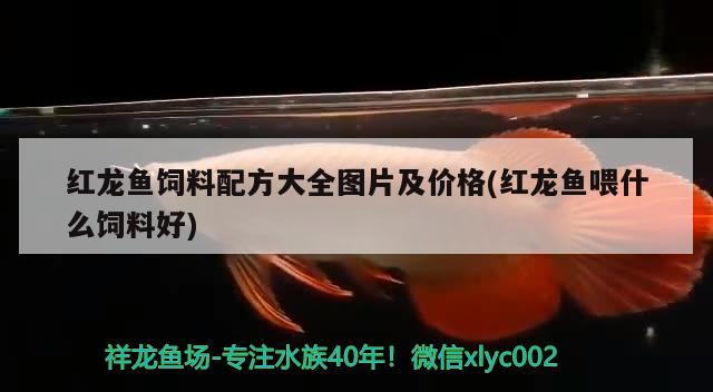 家里的魚缸放在哪個位置好？魚缸擺放位置的選擇客廳臥室廚房其他位置，家里的魚缸放在哪個位置好魚缸擺放位置選擇最適合的位置