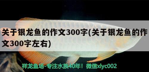 內江觀賞魚基地批發(fā)價格查詢網（內江魚苗基地在哪） 小型觀賞魚 第3張