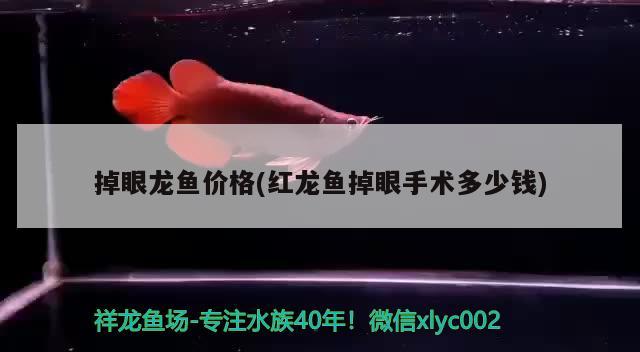 銀龍魚眼睛外面有白膜放青霉素可以嗎(銀龍魚眼睛白色 絮狀物)