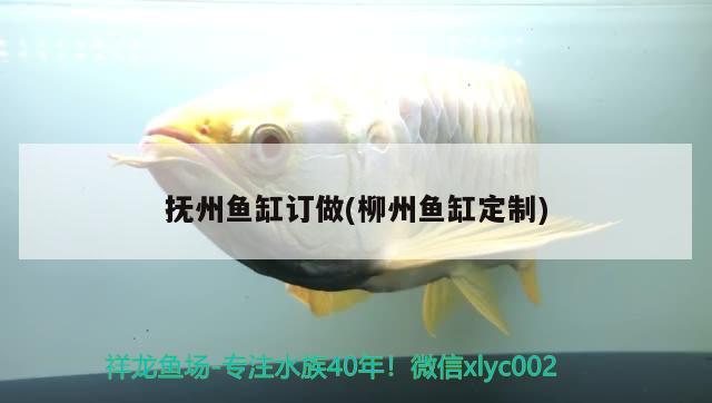 撫州魚(yú)缸訂做(柳州魚(yú)缸定制) 野彩魚(yú)