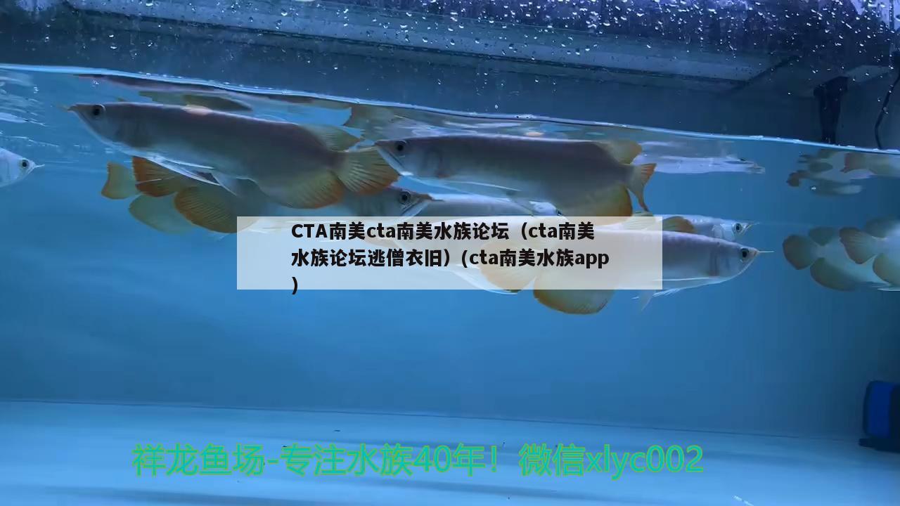 CTA南美cta南美水族論壇（cta南美水族論壇逃僧衣舊）(cta南美水族app) iwish愛唯希品牌魚缸