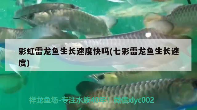 金龍魚咬人（金龍魚咬人嗎）