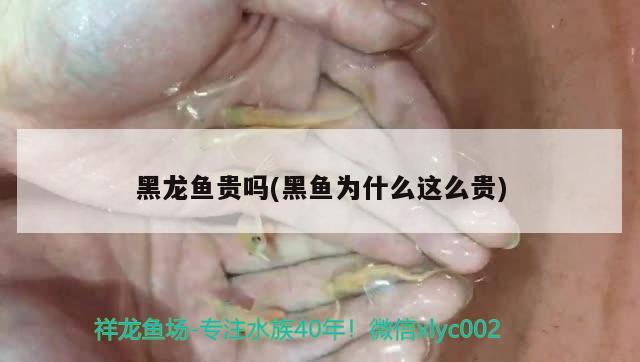 魚缸用什么燈好led燈還是燈管，普通燈帶可以用于魚缸嗎