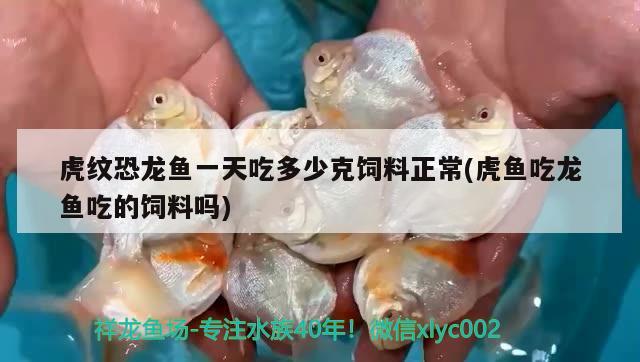 青島魚缸定做廠家直銷價格查詢電話 青島魚缸定做廠家直銷價格查詢電話號碼 過濾設備 第2張