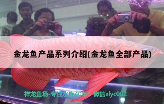 鞍山眾鑫觀賞魚市場地址在哪（鞍山眾鑫水族市場開業(yè)時間）