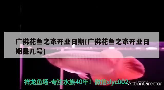 廣佛花魚之家開業(yè)日期(廣佛花魚之家開業(yè)日期是幾號(hào)) 觀賞龜/鱉飼料