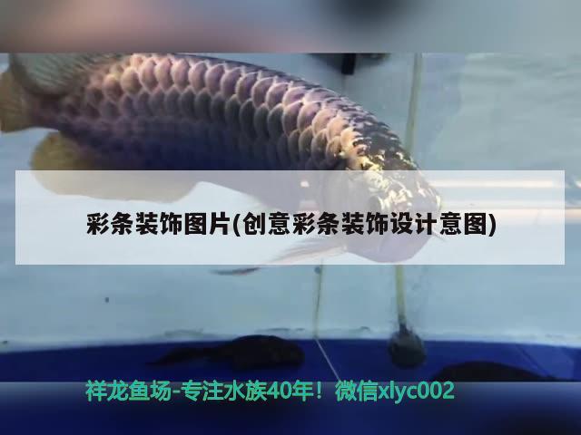 彩條裝飾圖片(創(chuàng)意彩條裝飾設計意圖) 銀龍魚百科