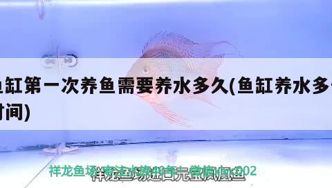 魚缸第一次養(yǎng)魚需要養(yǎng)水多久(魚缸養(yǎng)水多長(zhǎng)時(shí)間)