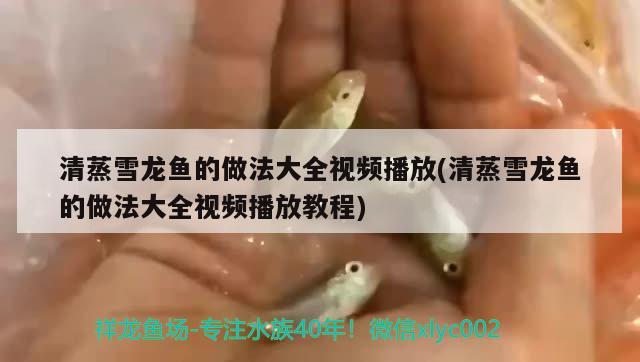 有高手試過露天飼養(yǎng)紅龍的嗎 黑白雙星魚 第2張