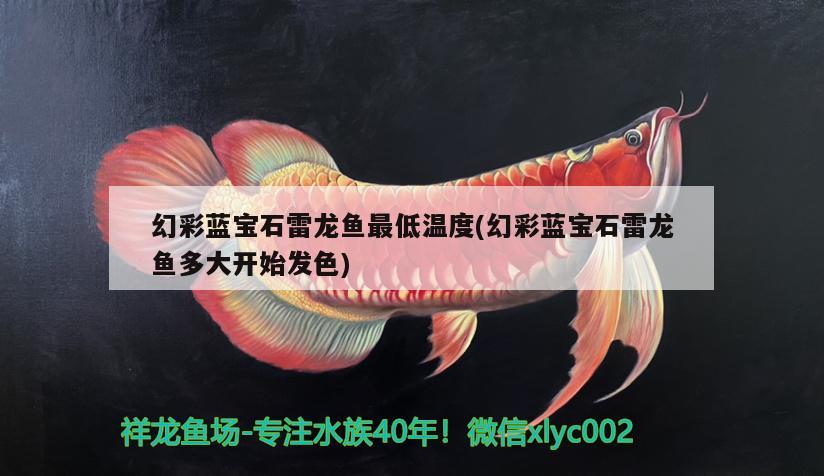 幻彩藍(lán)寶石雷龍魚(yú)最低溫度(幻彩藍(lán)寶石雷龍魚(yú)多大開(kāi)始發(fā)色) 玫瑰銀版魚(yú)