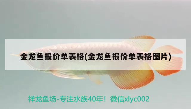 金龍魚報價單表格(金龍魚報價單表格圖片)