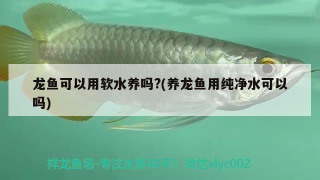 1.2米的魚缸一天用多少電（12米魚缸一月多少電費(fèi)） 養(yǎng)魚知識(shí) 第3張