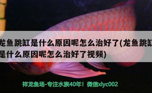 安溪縣鳳城泉福魚具店 全國水族館企業(yè)名錄 第2張