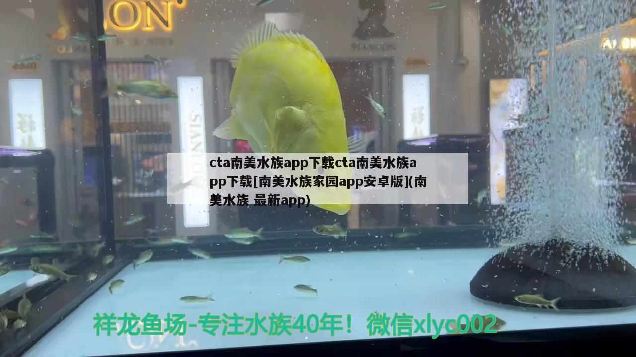 cta南美水族app下載cta南美水族app下載[南美水族家園app安卓版](南美水族最新app) 白子球鯊魚