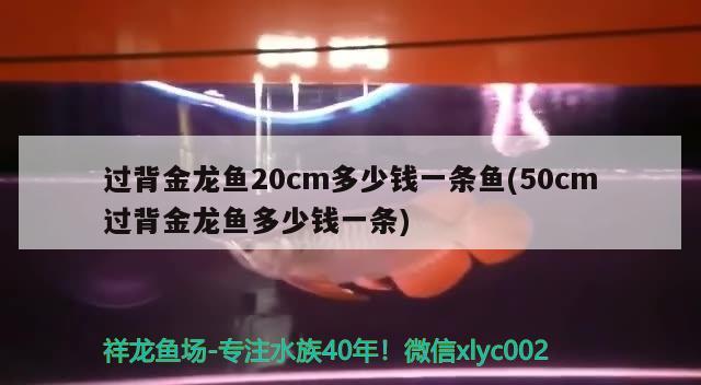 衡水二手魚缸市場地址在哪個位置?。汉馑峙f貨市場地址和電話