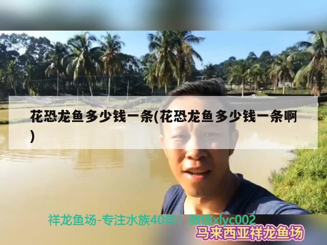 重慶水族館找個(gè)好太難了