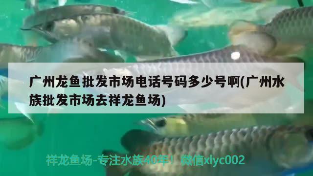 魚缸架子圖片大全制作方法視頻講解（魚缸架子用什么材料好）