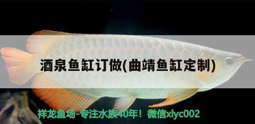 酒泉魚缸訂做(曲靖魚缸定制) 印尼小紅龍