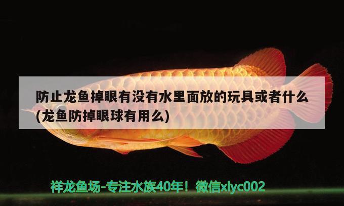 防止龍魚(yú)掉眼有沒(méi)有水里面放的玩具或者什么(龍魚(yú)防掉眼球有用么)