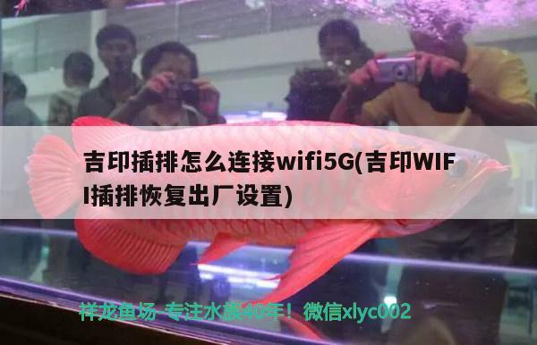 吉印插排怎么連接wifi5G(吉印WIFI插排恢復(fù)出廠設(shè)置)