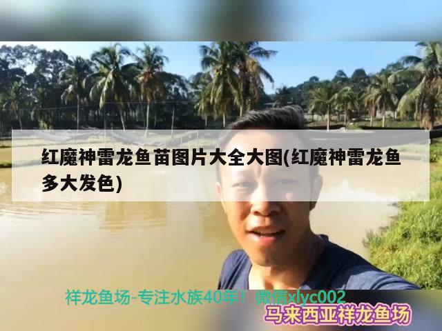 幫我看看什么病謝謝了