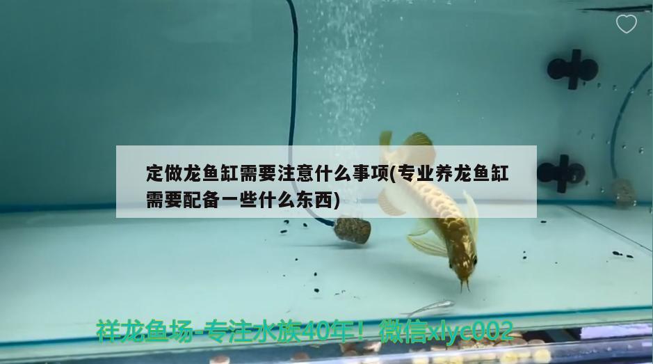 定做龍魚缸需要注意什么事項(專業(yè)養(yǎng)龍魚缸需要配備一些什么東西)