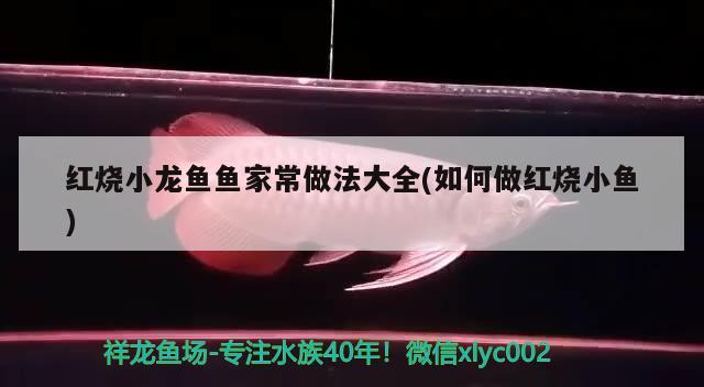 魔獸世界70級(jí)什么魚(yú)最值錢(qián)，《魔獸世界70級(jí)什么魚(yú)值錢(qián)和魔獸世界什么魚(yú)最值錢(qián) 2024第28屆中國(guó)國(guó)際寵物水族展覽會(huì)CIPS（長(zhǎng)城寵物展2024 CIPS） 第1張