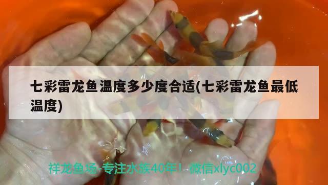 開打虎魚