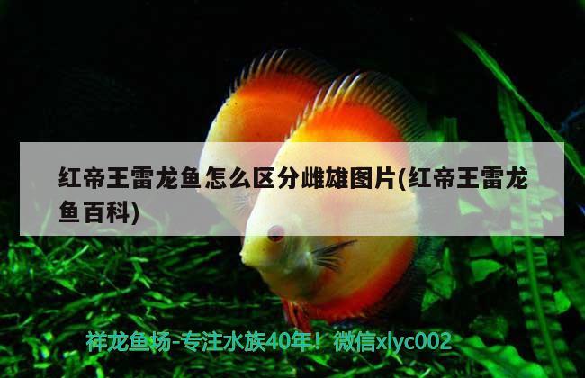 家庭魚(yú)缸擺放位置風(fēng)水怎么擺放魚(yú)缸比較好，家庭魚(yú)缸擺放位置風(fēng)水怎么擺放 魚(yú)缸風(fēng)水 第3張