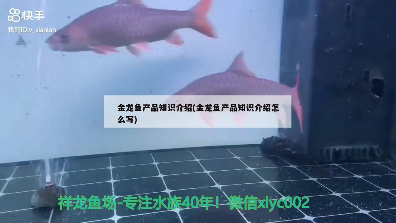 金龍魚產(chǎn)品知識(shí)介紹(金龍魚產(chǎn)品知識(shí)介紹怎么寫)