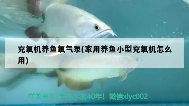 充氧機(jī)養(yǎng)魚氧氣泵(家用養(yǎng)魚小型充氧機(jī)怎么用) 非洲金鼓魚 第2張