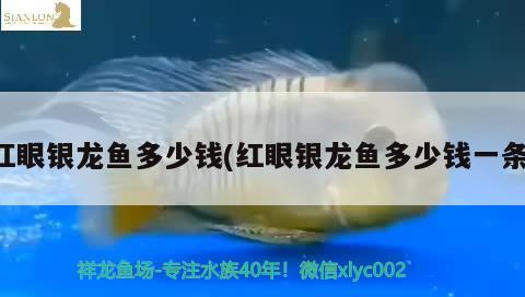 沁源縣沁河鎮(zhèn)海軍魚(yú)缸店