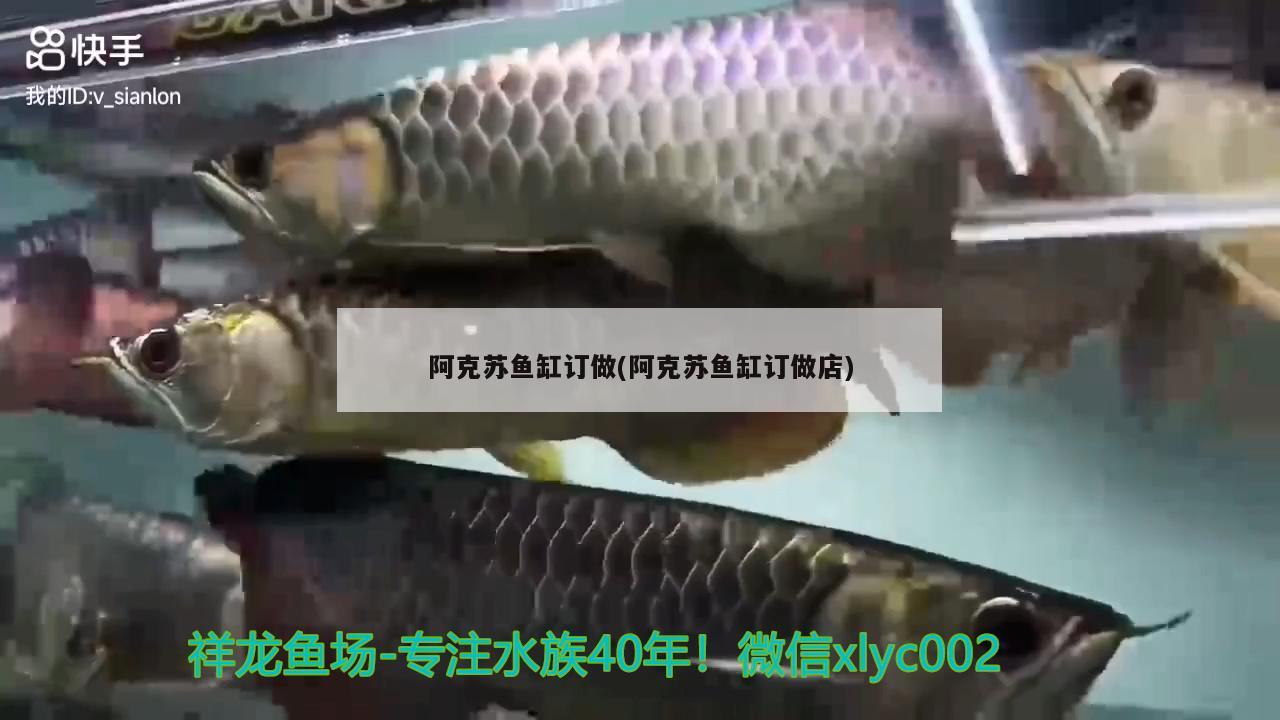 阿克蘇魚(yú)缸訂做(阿克蘇魚(yú)缸訂做店)