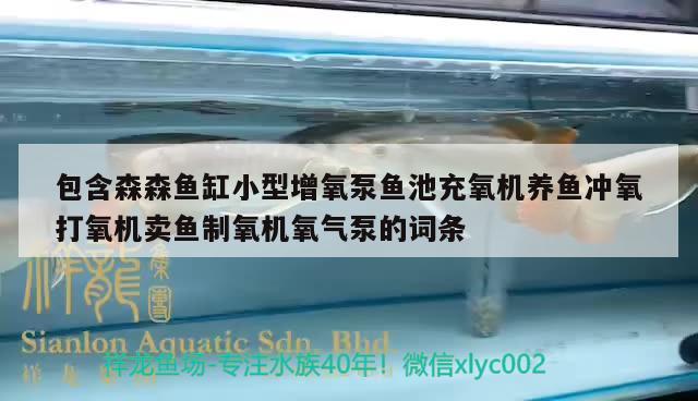 營口市站前區(qū)老本琦水族銘品店 全國水族館企業(yè)名錄 第1張