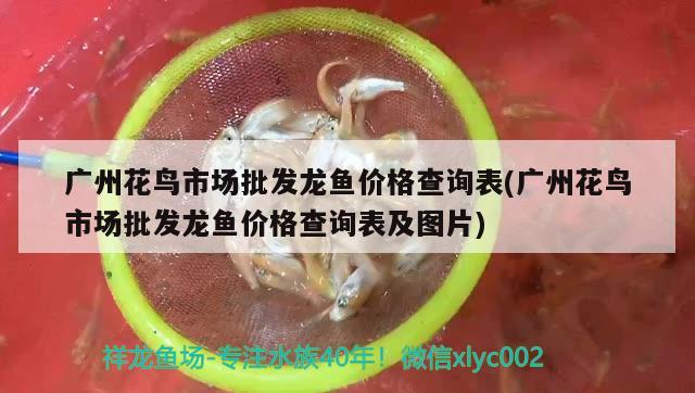 魚缸加熱棒多少度最好（魚缸怎么選取合適功率的加熱棒） 泰龐海鰱魚 第1張