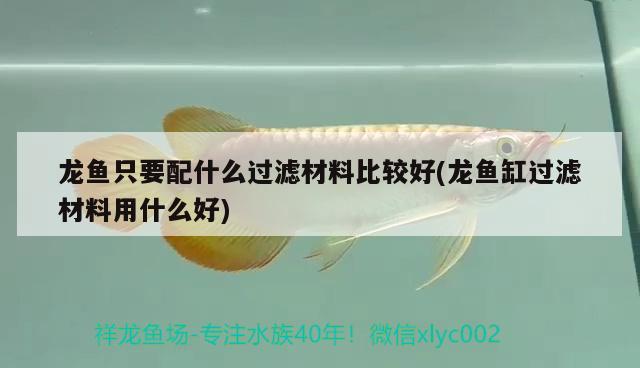 龍魚只要配什么過濾材料比較好(龍魚缸過濾材料用什么好) 羅漢魚批發(fā)