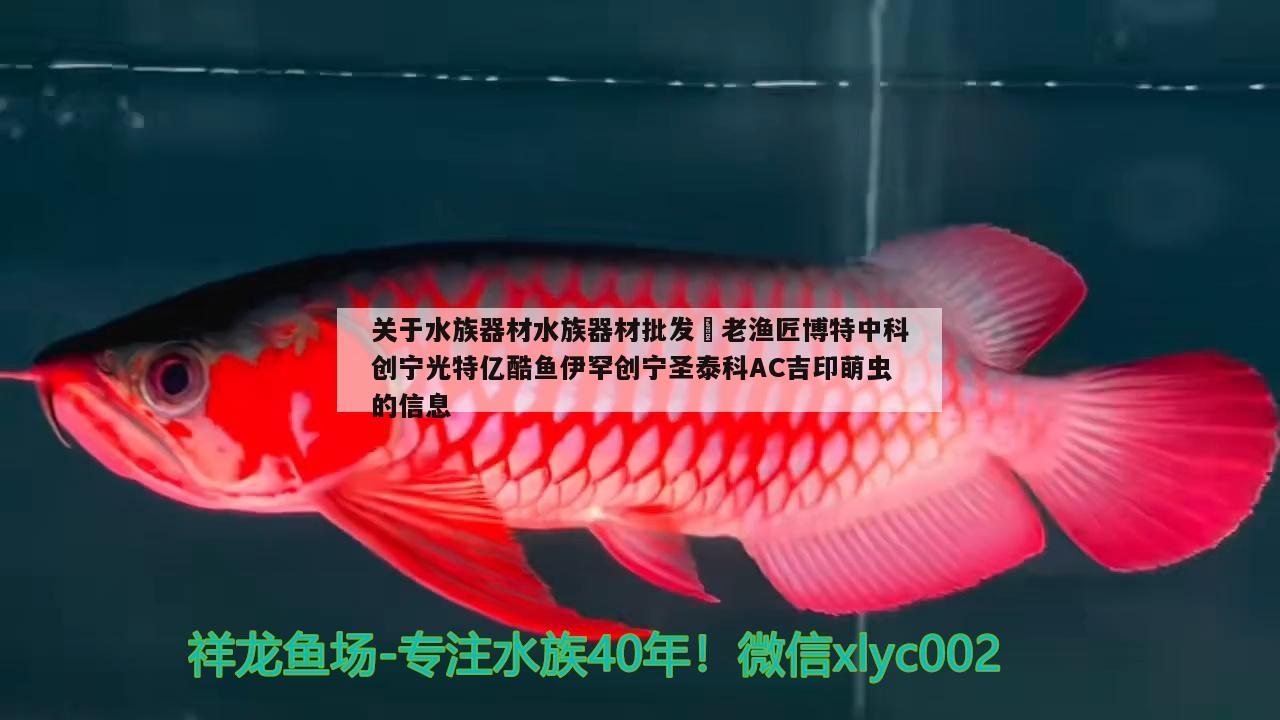 關于水族器材水族器材批發(fā)?老漁匠博特中科創(chuàng)寧光特億酷魚伊罕創(chuàng)寧圣泰科AC吉印萌蟲的信息