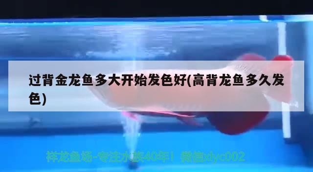 九江龍魚:龍魚多長時(shí)間能長大