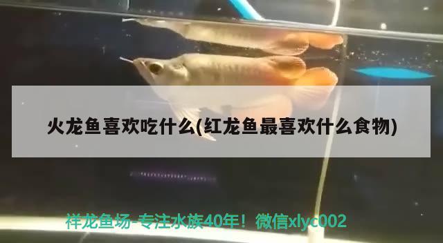 贛州魚缸訂做(南昌專業(yè)做魚缸公司) 帝王血鉆