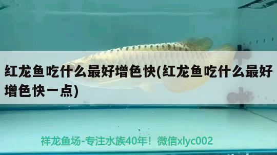 東營水族館換缸 大白鯊魚 第3張