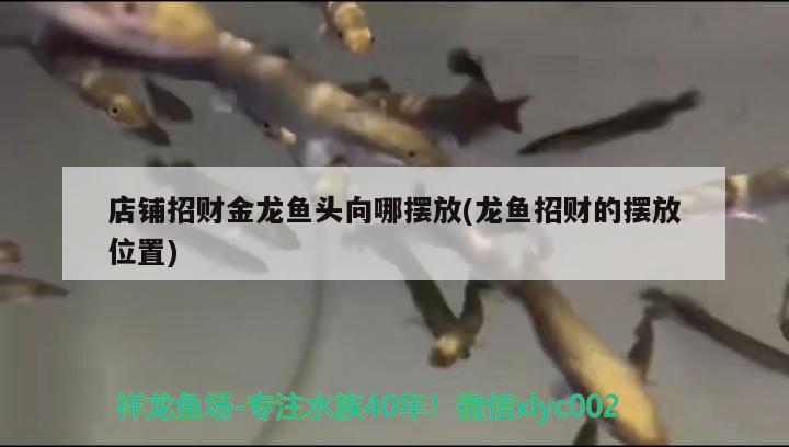 魚缸燈和普通燈的區(qū)別在哪里？，魚缸燈和普通燈和普通燈有什么區(qū)別 黃金達(dá)摩魚 第3張