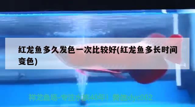 消毒劑廠家排名榜（消毒劑廠家排名榜最新） 馬拉莫寶石魚 第2張