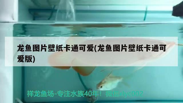 龍魚圖片壁紙卡通可愛(龍魚圖片壁紙卡通可愛版)