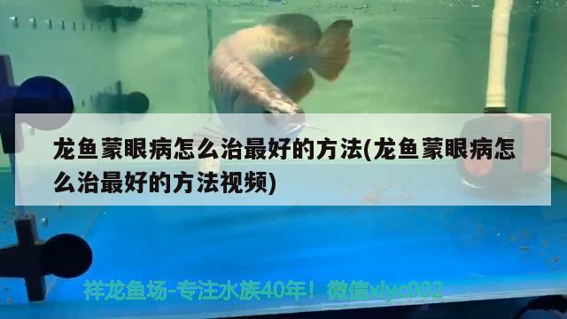 開封水族館原生態(tài)河蝦