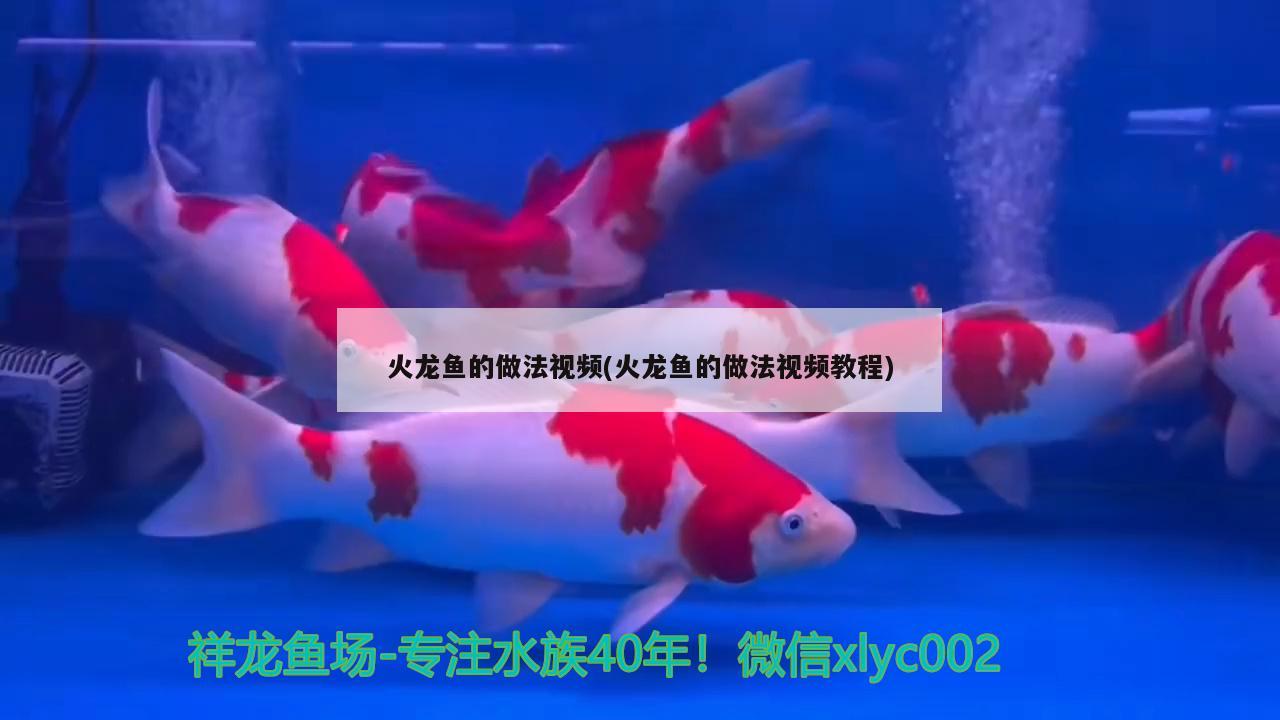 火龍魚的做法視頻(火龍魚的做法視頻教程)