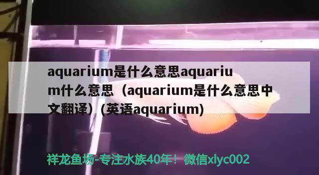 aquarium是什么意思aquarium什么意思（aquarium是什么意思中文翻譯）(英語aquarium)