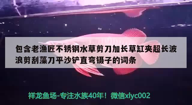 包含老漁匠不銹鋼水草剪刀加長(zhǎng)草缸夾超長(zhǎng)波浪剪刮藻刀平沙鏟直彎鑷子的詞條 水草