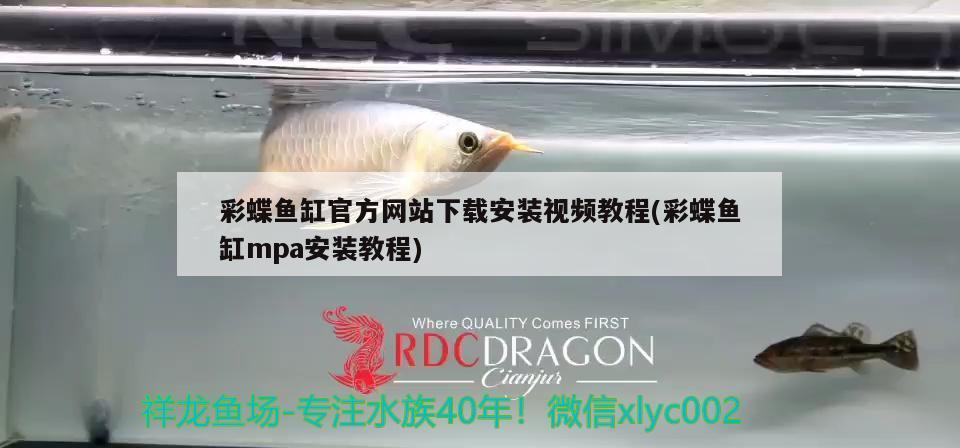 彩蝶魚缸官方網(wǎng)站下載安裝視頻教程(彩蝶魚缸mpa安裝教程) 黃金夢幻雷龍魚